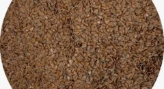 Flax Seeds