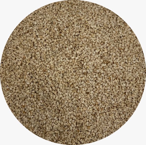 Natural Sesame Seeds